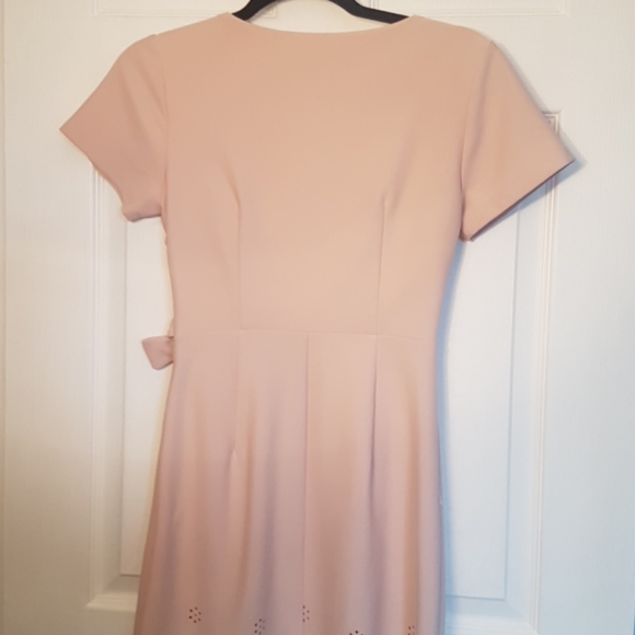 Enfocus Studio blush pink dress - Picture 8 of 13